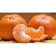 Mandarinas Orri 1 kg.