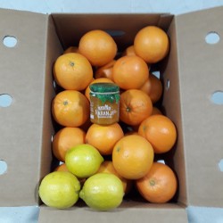 Caja de Regalo con Naranjas Mesa Seleccion.