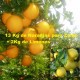 NARANJAS PARA ZUMO DE12kg + 3kg de limones